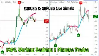 EURUSD & GBPUSD Free Live Forex Signals 24/7 | GBP/USD EUR/USD LIVE FOREX SIGNAL Best Forex Strategy