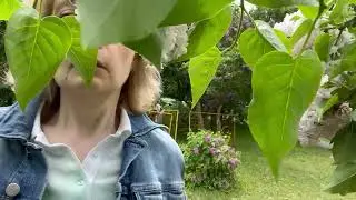 Secret Garden - Song From A Secret Garden