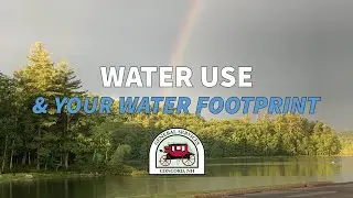 Water Use & Your Water Footprint