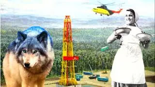 The incredible story of the rescue, lost in the taiga /Taiga stories/