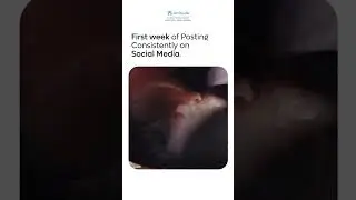 First Week of Posting Consistently on Social Media | 6 Months After posting Cons. on Social Media
