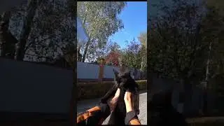 #мотосопровождение