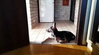 охрана