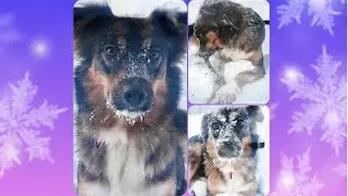 А этот год новый, тот был старый...