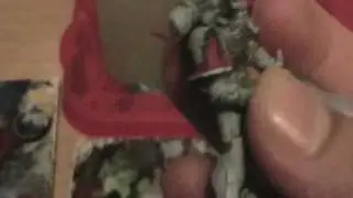 How to Paint Space Wolves... Part 2