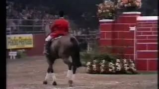 Hugo Simon - Landgräfin - 2.26 m Puissance at Olympia 1980