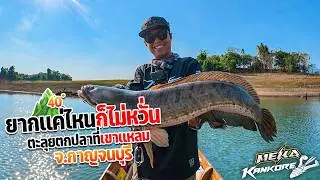 Almost a complete failure at Khao Laem. On a day with scorching sun, fishing was extremely diffic...