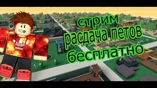 Раздача петов в  🐾 Pet Simulator! Заходи
