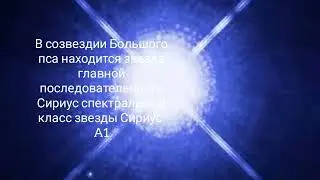 Звезда главной последовательности в созвездии Большого пса - Сириус