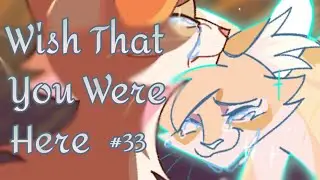 Wish That You Were Here | Dawnpelt MAP [33]