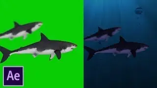 how to remove green screen in after effects
