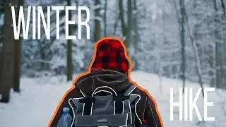 Winter hike through snowy forest