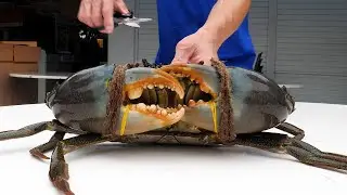싱가포르 음식 대왕 칠리 크랩 Giant chilli crab, Singapore food
