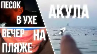 ХАЗЯЕВА / ВЕЧЕР на ПЛЯЖЕ / АКУЛА в ОКЕАНЕ