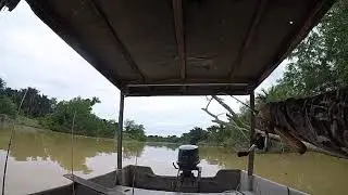 Udang Galah Tanjung Siam
