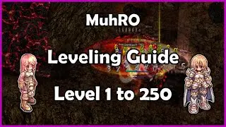 MuhRO Leveling Guide 1-250