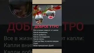 💯 Всё в Жизни зависит от КАПЛИ!