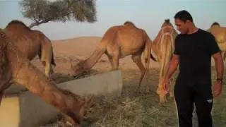 Abu Dhabi Desert Adventure Blog - Rodrigo Nogueira - Ross Pearson - Mike Swick