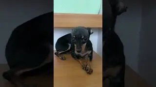 1 Minute Of Pure Fear