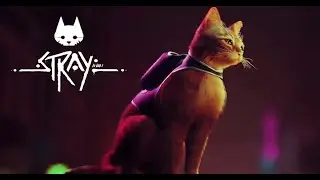Stray Gameplay Benchmark | GTX 960 4GB | High Settings | 1080p
