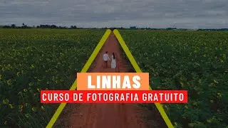 Linhas - Curso gratuito de fotografia