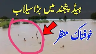 Head punjnad Alipur Latest News Update | flood latest Update head punjnad| Head panjnad Bawahwalpur