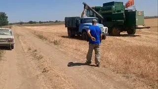 Уборка пшеницы в Крыму!