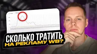 How much should you spend on Wildberries advertising? How to analyze Wildberries ads (DRR, CTR)