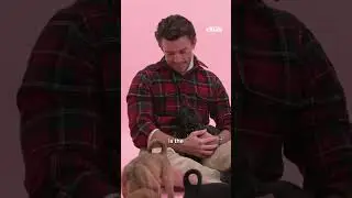 Matt Bomer and Jonathan Bailey Puppy explaining that pic with Andrew Scott & Paul Mescal