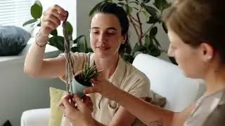 Oltre il Green - L'insegna dei virtuosi