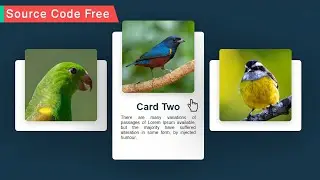CSS Responsive Card Hover Effects | Using Html & CSS