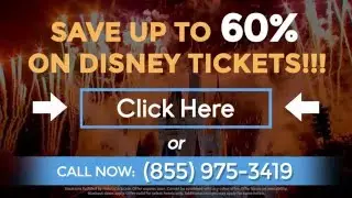 Discount Disney World Tickets AAA