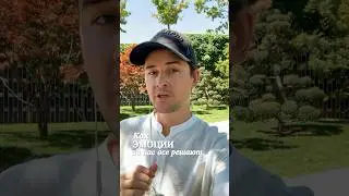 Как ЭМОЦИИ руководят нами? #таро #психология #эмоции