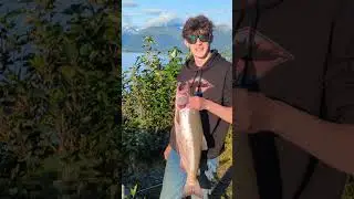 Giant Fish Gets Revenge