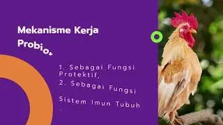 Feed Additive: Probiotik