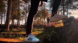 Forest Cinematic Color With Glow  - AFTER EFFECTS (DREAM EFFECT)