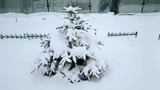 14 января 2024 обзор участка