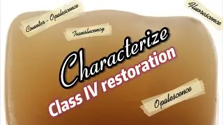 characterize class IV restorations