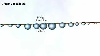 Droplets Merging