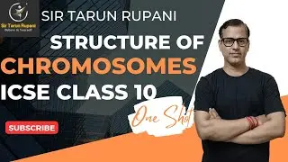 Structure of Chromosomes One Shot | Cell Cycle & Cell Division ICSE Class 10 | 