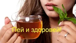 Чай для долголетия! Чай с грибом рейши-удар по раковым клеткам!