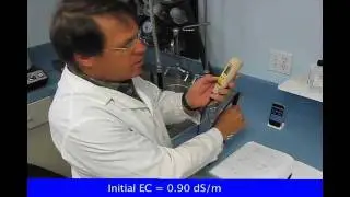 Quick test for gypsum dissolution rate