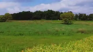 Flight over Sunflower field in Mechanicsburg, Pa.