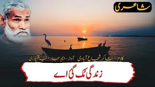 Zindagi Muk Gayi | Shakir Shuja Abadi | Saraiki Dhoray | Wakhra_Malang |#Short