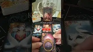 #любовь #таро #послание #tarot #рекомендации #гаданиетаро #таролог #раскладтаро