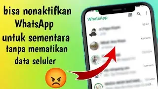 cara nonaktifkan WhatsApp untuk sementara tanpa mematikan data seluler