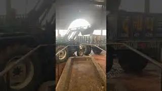 गौशाला से ताज़ा गोबर वर्मीकम्पोस्ट बनाने के लिए #song#tamil#tamilsong #vermicompost#vermicomposting
