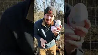 Easter on our Small Farm 
