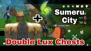 2 Luxurious Chests + Dendroculus at the top of Akademiya, Sumeru City | Genshin Impact
