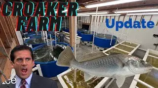 Croaker Farm Update